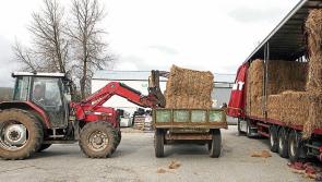 Leitrim farmers await delayed payments from Department of Agriculture