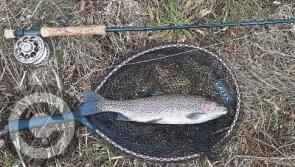 Savouring the first catch of the new season