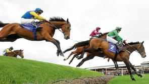 THE PUNTER'S EYE: Punchestown Tips for today, Ladies Day