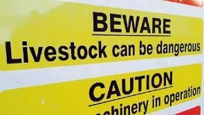No workplace fatalities recorded in Leitrim in 2022