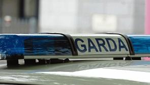 Five arrested after home of Limerick GAA greats targeted