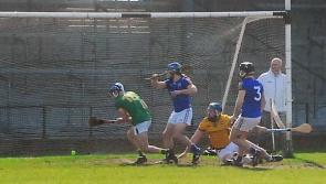 Clinical Longford overpower Leitrim to reach Allianz NHL Division 3B Final