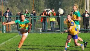 Guckian leads Leitrim past stubborn Rossies