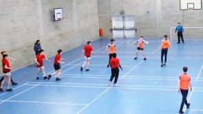 Mohill CC & Carrigallen VS win titles in  Leitrim Sports Partnership Transition Year Olympic Handball tournament