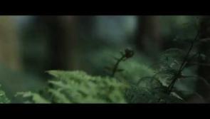 Drumshanbo and Glenade Lough in major new TV Ad
