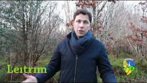 Sign up for Leitrim GAA's 50 Miles in January challenge
