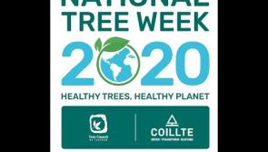 Coillte and the Tree Council are urging people in Co Leitrim to register events for National Tree Week 2020