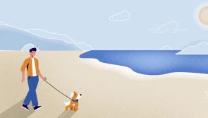 Dog owners urged to clean up after their dogs on the country’s beaches