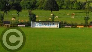 New Haven GAA pitch named after Eslin man