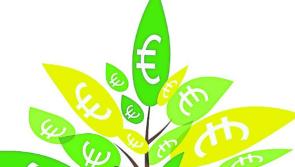 ON THE MONEY:  Protect your money tree