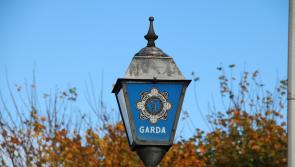 Woman released without charge following hit and run of garda from Kilmore in Limerick