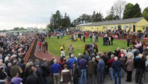 Roscommon Races rescheduled for next Monday, August 28