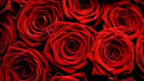 Manorhamilton native to host St Valentine's Night Charity Ball in Donegal