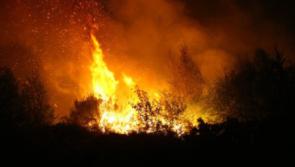Series of National Fire Training Days Planned