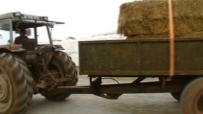 INHFA say fodder package is needed before Christmas