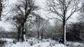 Leitrim council well prepared for potential snowy Christmas  with several plans in place