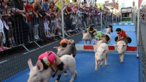 Carrick-on-Shannon Carnival meeting