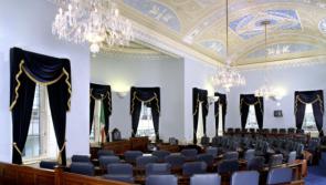 Seanad told government plan will make Leitrim ‘sacrificial zone’