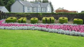 Dromod SuperValu Tidy Towns Adjudication 2016