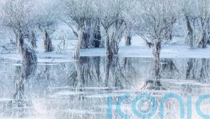 Icy conditions prompts inter-agency water safety warning