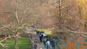 Safety concerns given as reason by women for not walking more, survey finds