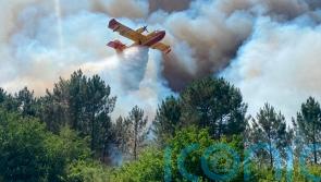 Wildfires scorch France and Spain as heatwave-related deaths soar across Europe
