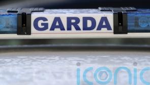 Man and woman killed in Limerick road crash