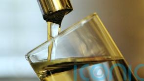 Irish Water too slow at replacing lead pipes – EPA