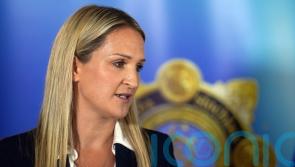 Social media &lsquo;a dark place&rsquo;, says McEntee as politicians urged to report threats