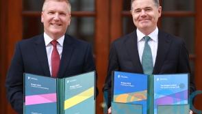 Budget a ‘fundamental reform’ of public finances, Irish finance minister says