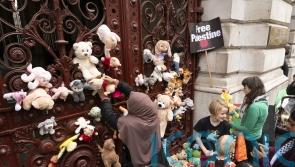 "Shame on humanity" as children literally starving in Gaza

