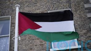 Irish government urged to refer Israel-Hamas conflict to international court