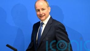 Irish deputy premier ‘proud’ of role in UN vote on Palestine