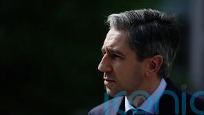 Harris focusing on &lsquo;effective deportations&rsquo; and increased workplace inspections