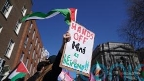 Pro-Palestine protest held at Dail days after arrests