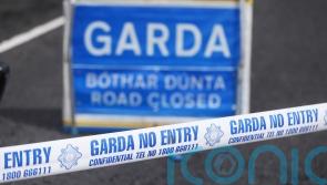 Man dies in crash involving crane and vans