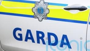Trouble flares outside Dublin hotel used to house asylum seekers