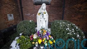 Catholics who identify as evangelical sought for research