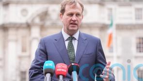 Ireland &lsquo;nowhere near&rsquo; Ice-style deportation system &ndash; Justice minister