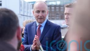 Taoiseach denies pushing Michael Healy-Rae out of Government