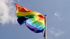 Greater supports are needed for young LGBTQI+ people in Leitrim, report finds