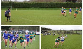 Gallery: Leitrim put Wicklow to the sword in Ballinamore