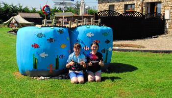 GALLERY 1: Check out some of this year's entries in Leitrim's Stylish Silage competition