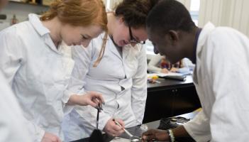 Cavan Institute offering more than 70 full time courses