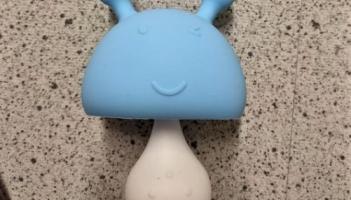 Recall of mushroom baby teether due to high-risk of suffocation