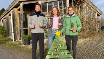 Sustainable Christmas at the Organic Centre