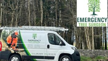 Emergency Tree Surgeon - Your tree care partner in crisis