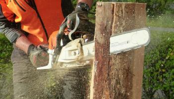 Councillor warns of ‘inevitable landslide’ due to overhanging trees in Leitrim