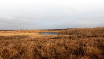 Will GAEC 2 affect planning in Leitrim? Council responds