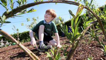 Small hands, big impact: Leitrim primary school wins Nature Hero award